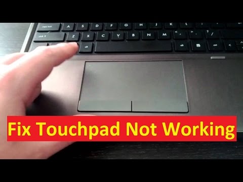 dell laptop touchpad not working